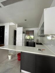 Radiance @ Bukit Timah (D21), Terrace #532296391